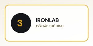 IronLab